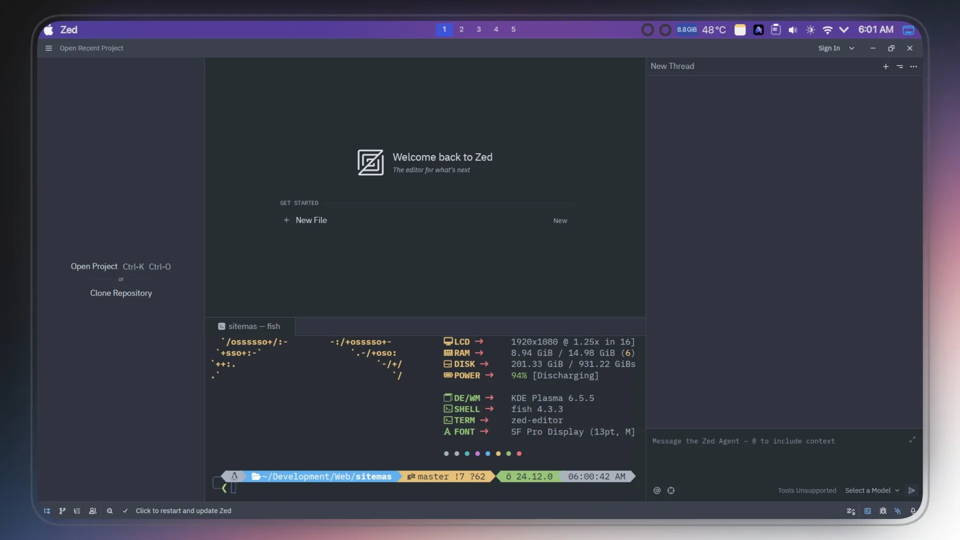 Zed Editor Interface First Launch